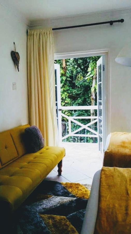 E 20 Mystic Ridge ocho Rios Lägenhet Exteriör bild